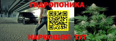 трава Кандалакша