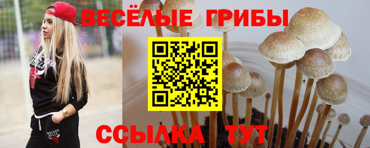 Псилоцибиновые грибы MAGIC MUSHROOMS  Вход с VPN  Ярцево 